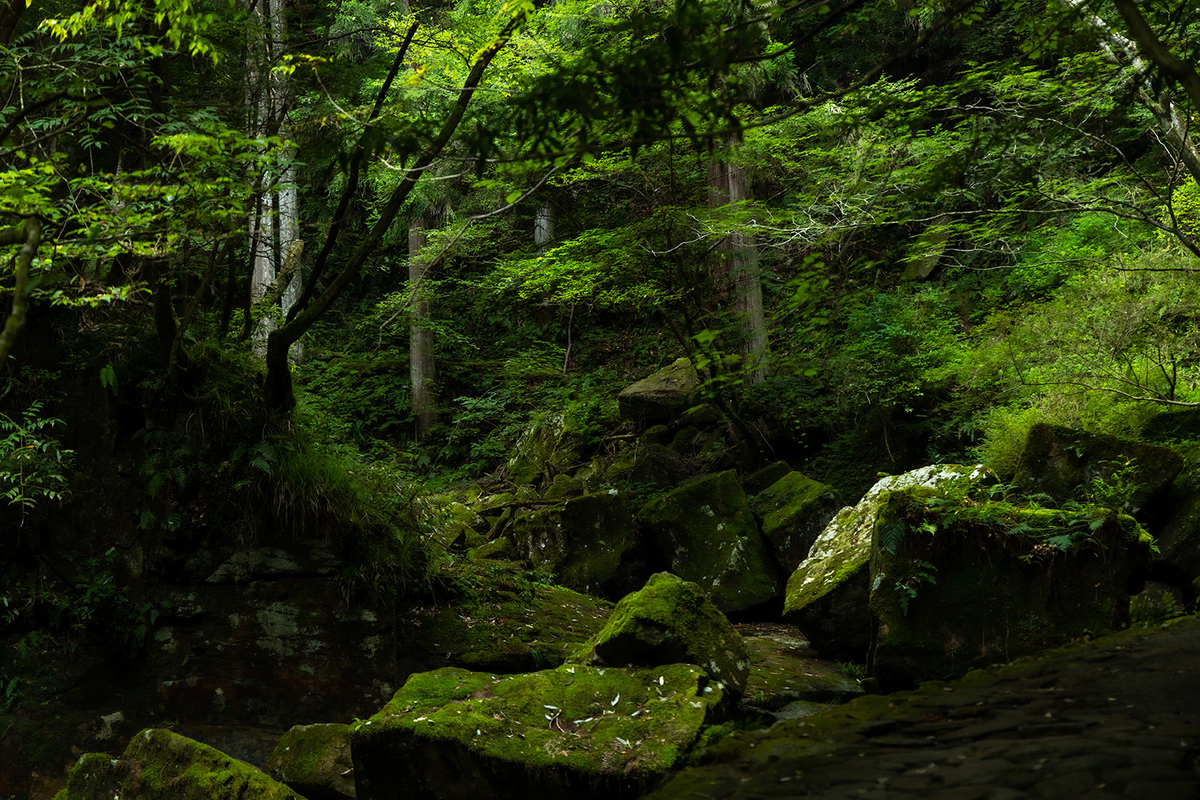 深谷龍鎮渓谷（龍鎮の滝）