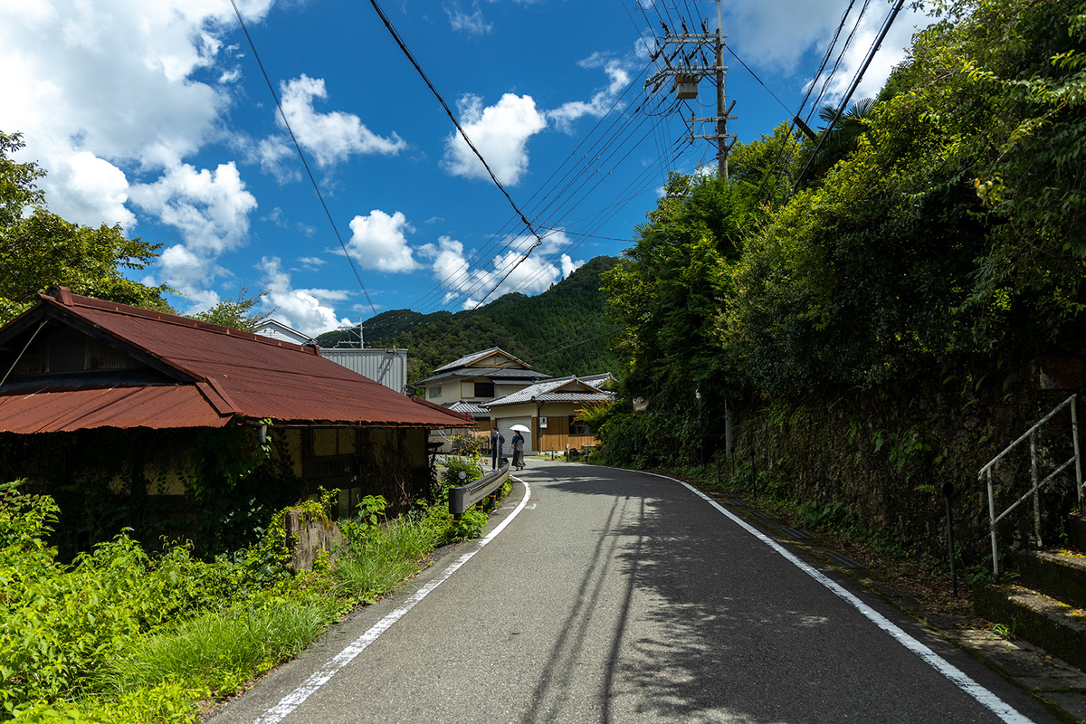 あらぎ島