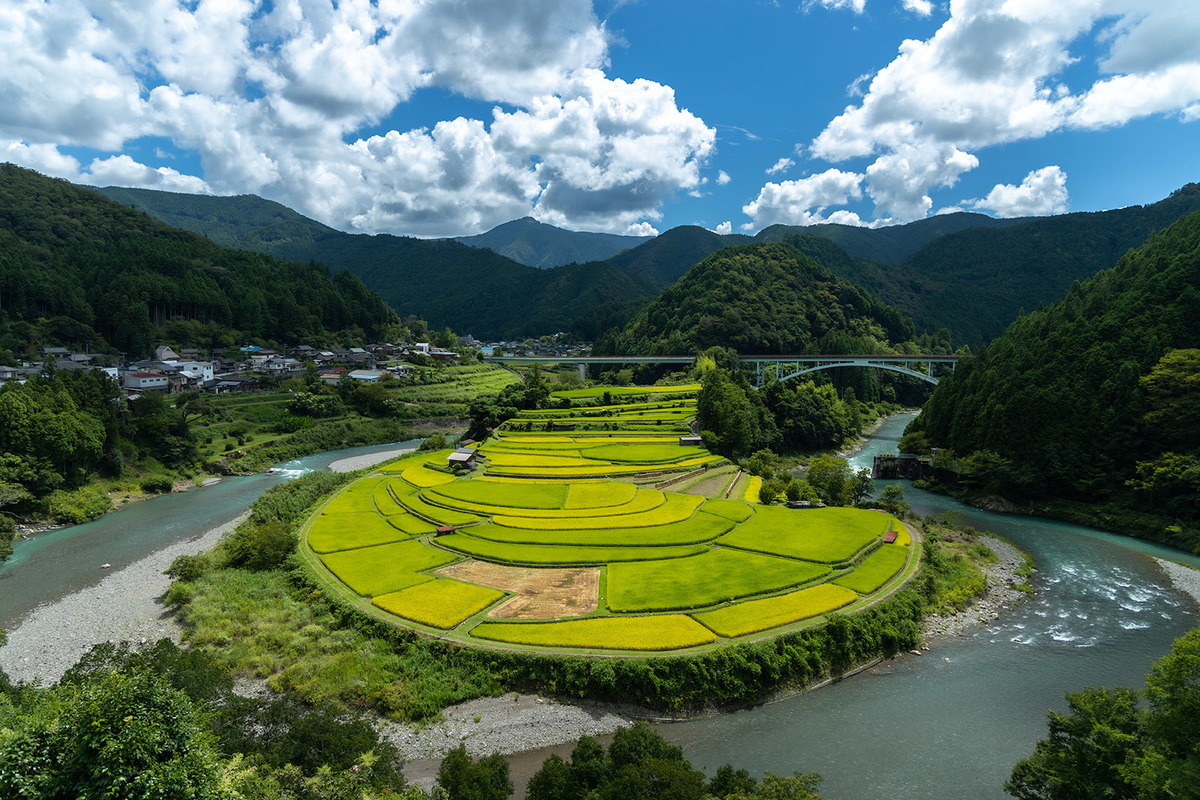 あらぎ島