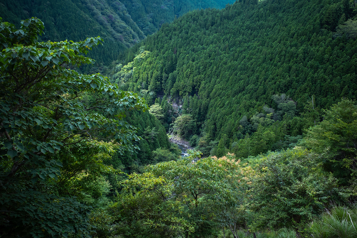 高野山