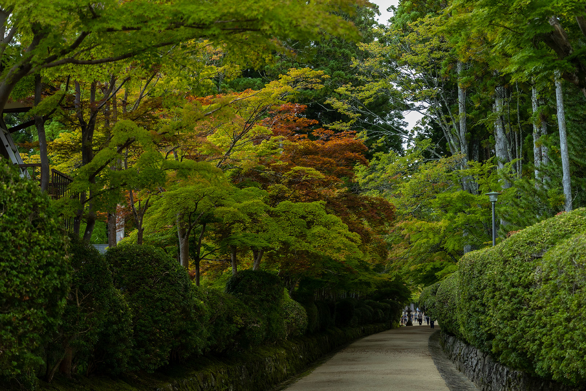 高野山