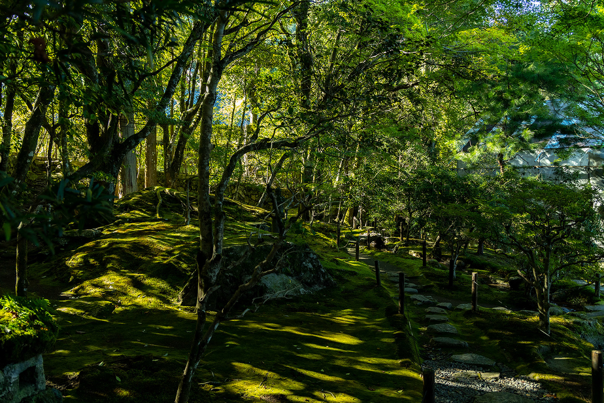 旧竹林院