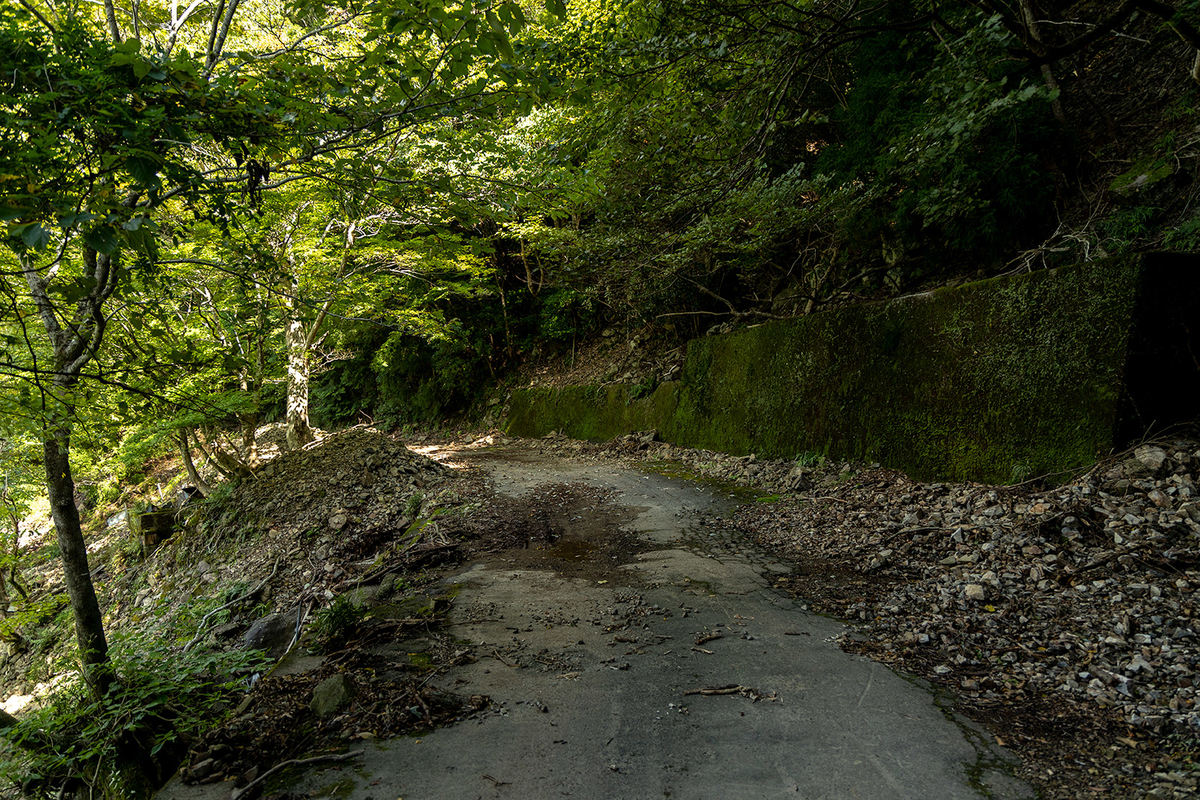 廃村東ノ川集落跡