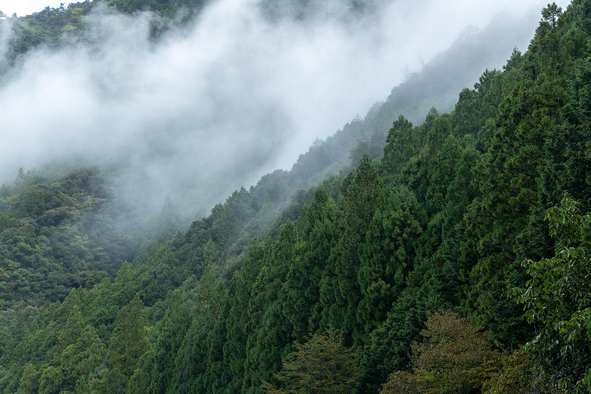 十津川村立二村小学校跡