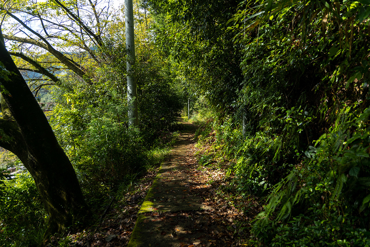 十津川村立二村小学校跡