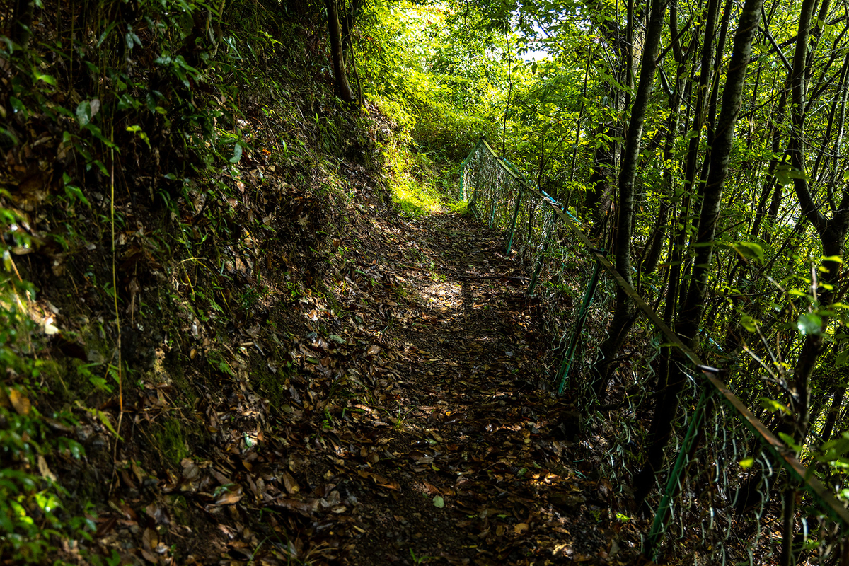 十津川村立二村小学校跡