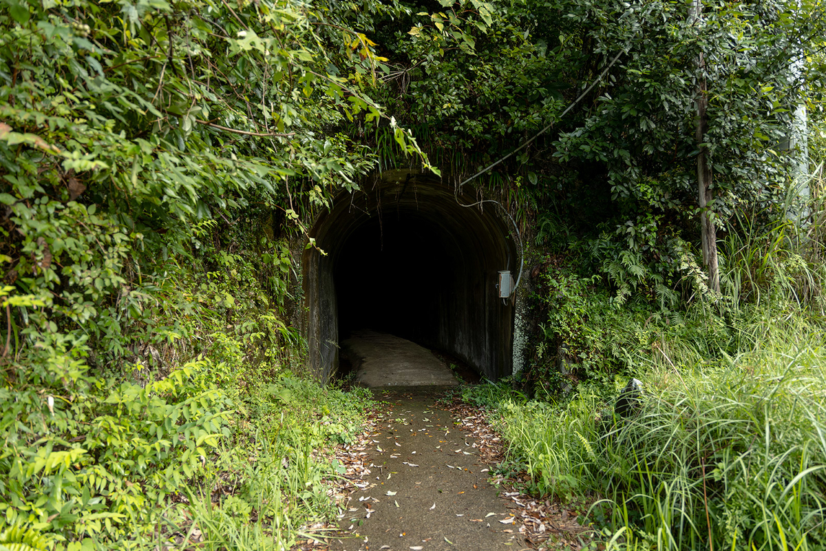 十津川村立二村小学校跡