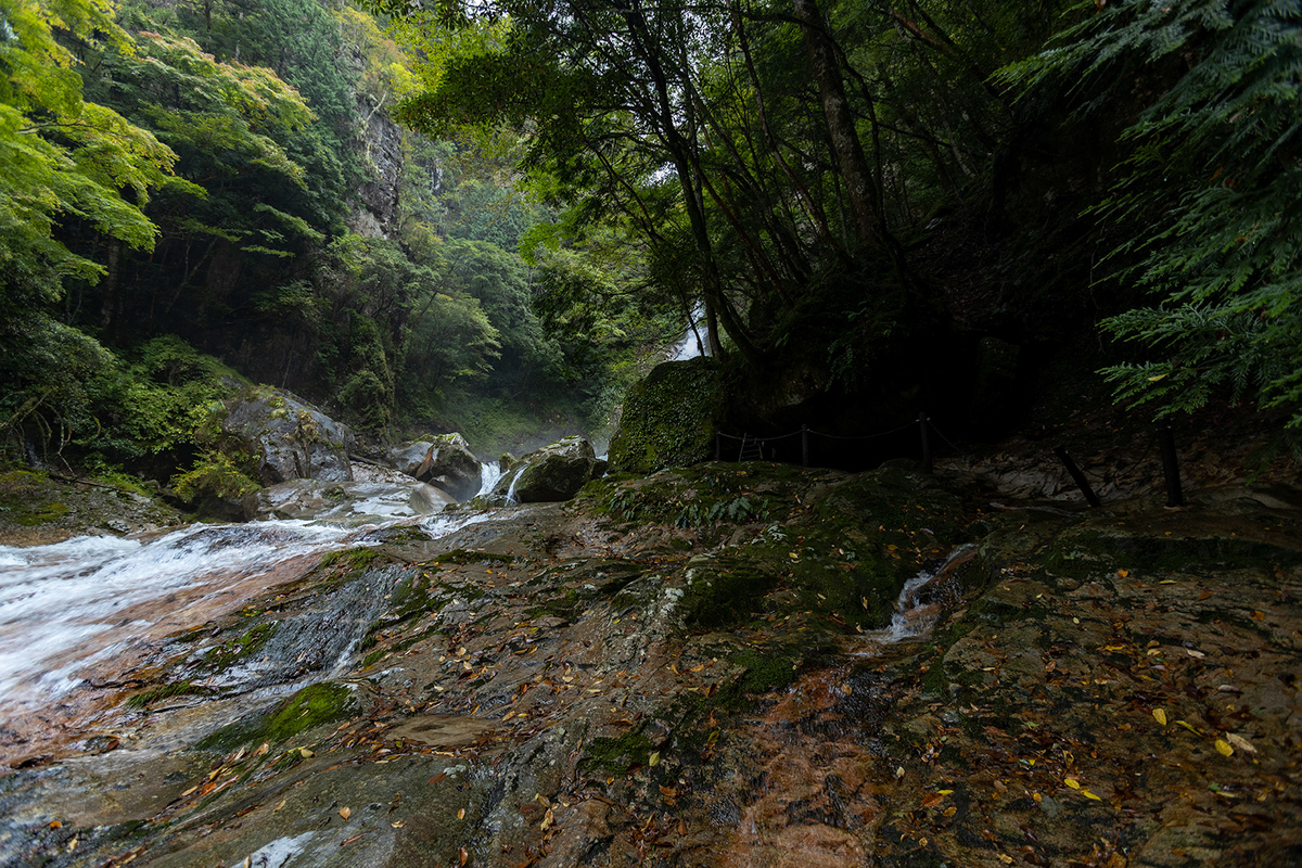 奈良県笹の滝