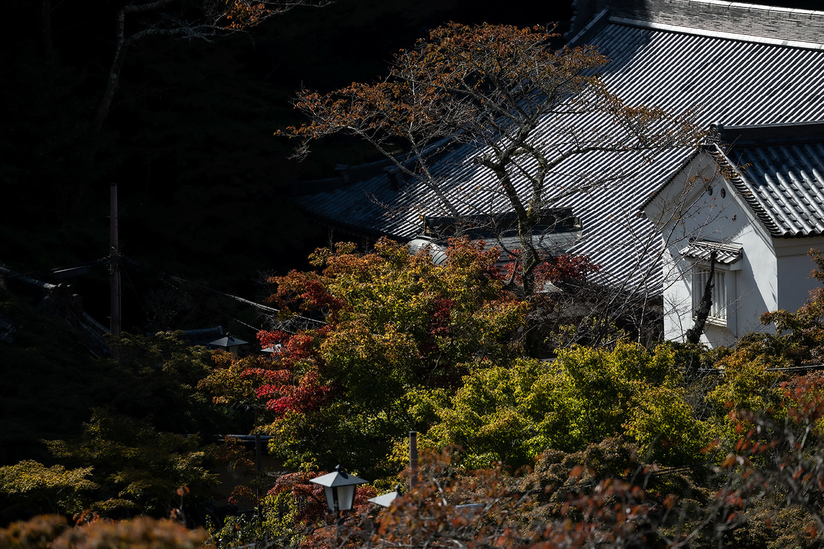 朝護孫子寺