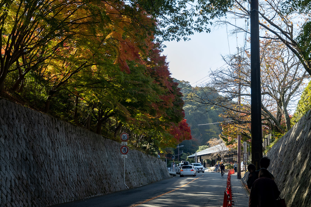 大阪の紅葉スポット、箕面の勝尾寺