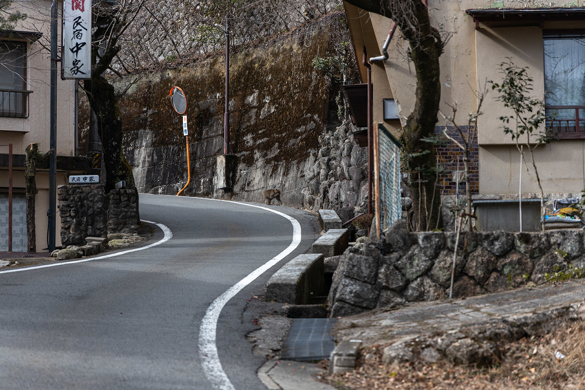 湯の山温泉