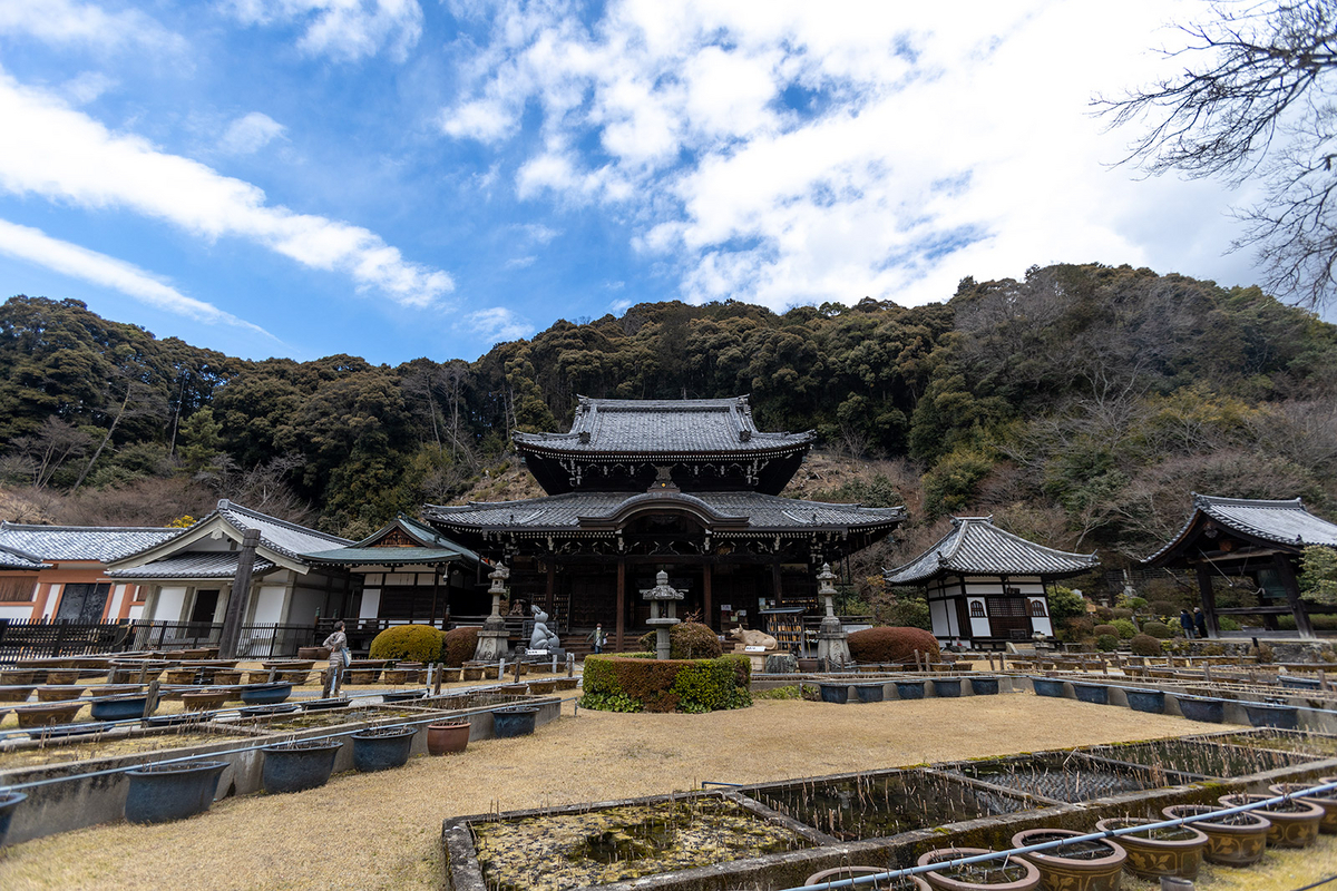 三室戸寺