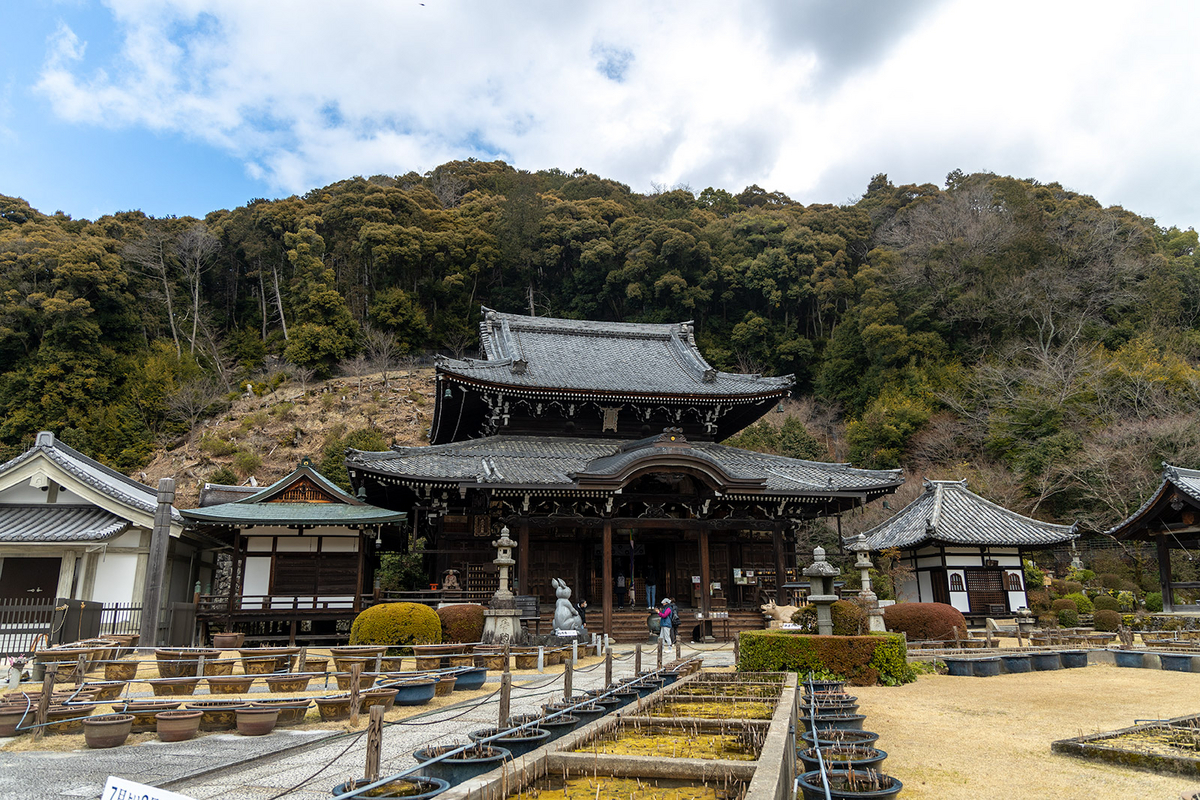 三室戸寺