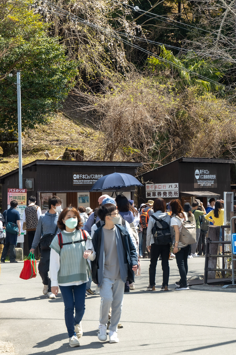 桜が見頃の奈良県吉野