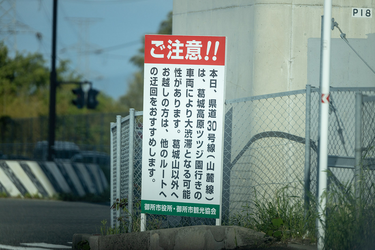 ツツジが見頃の奈良県葛城山