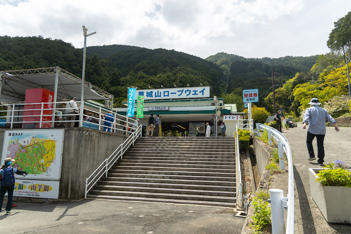 ツツジが見頃な奈良県葛城高原