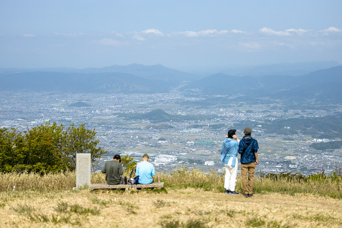 ツツジが見頃な奈良県葛城高原