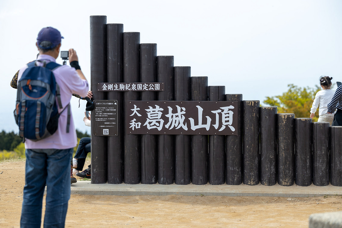 ツツジが見頃な奈良県葛城高原