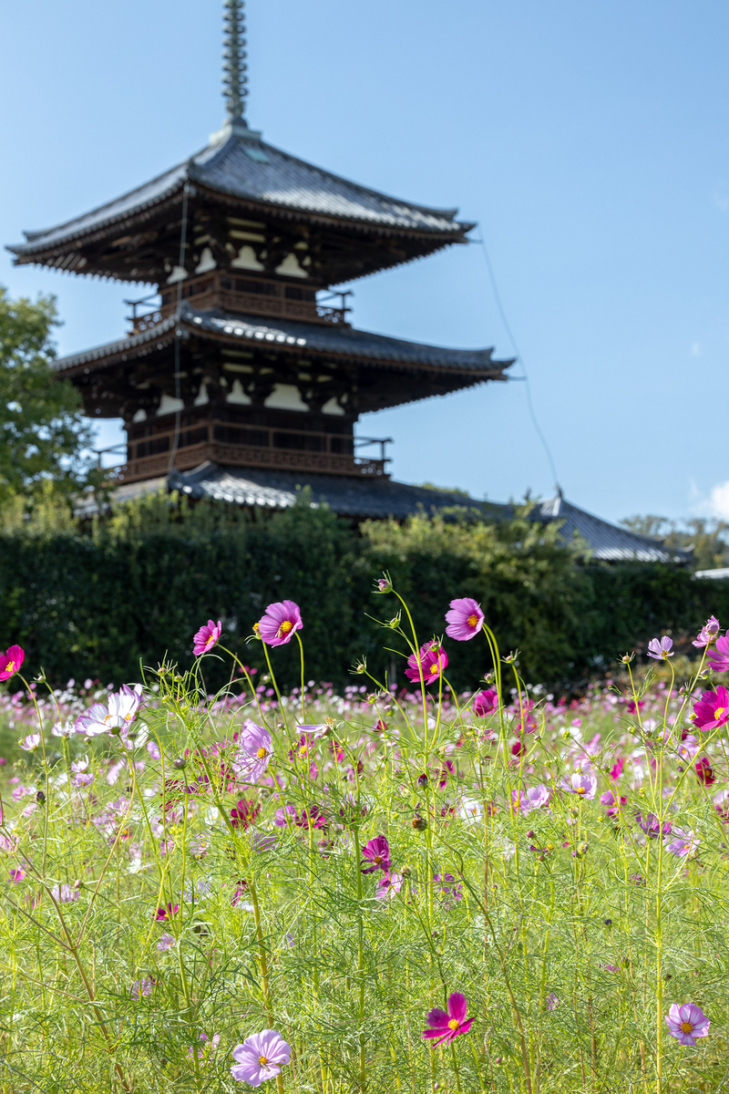 法起寺