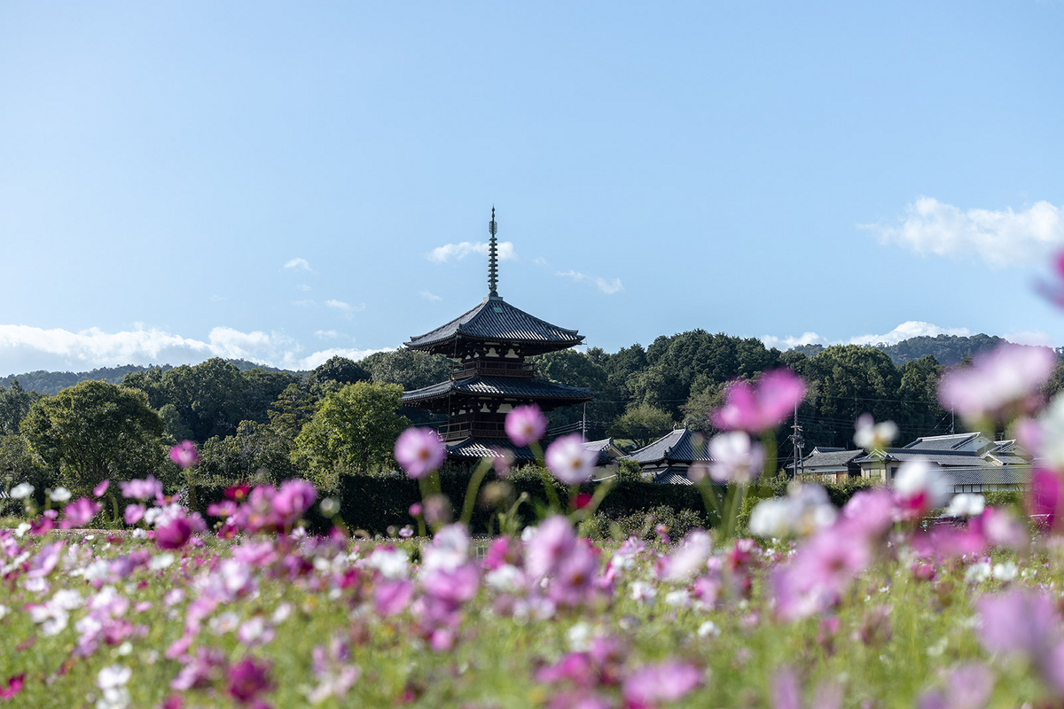 法起寺