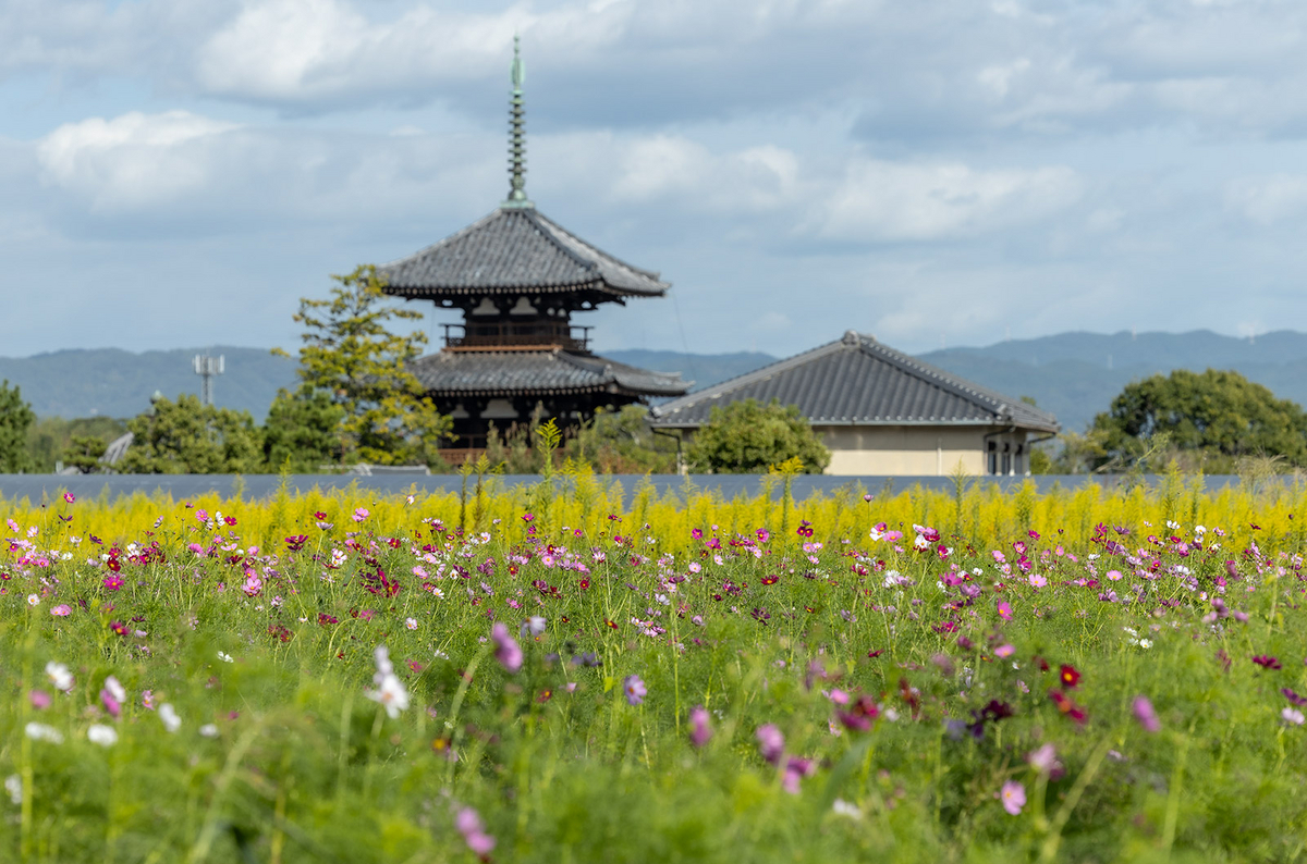 法起寺