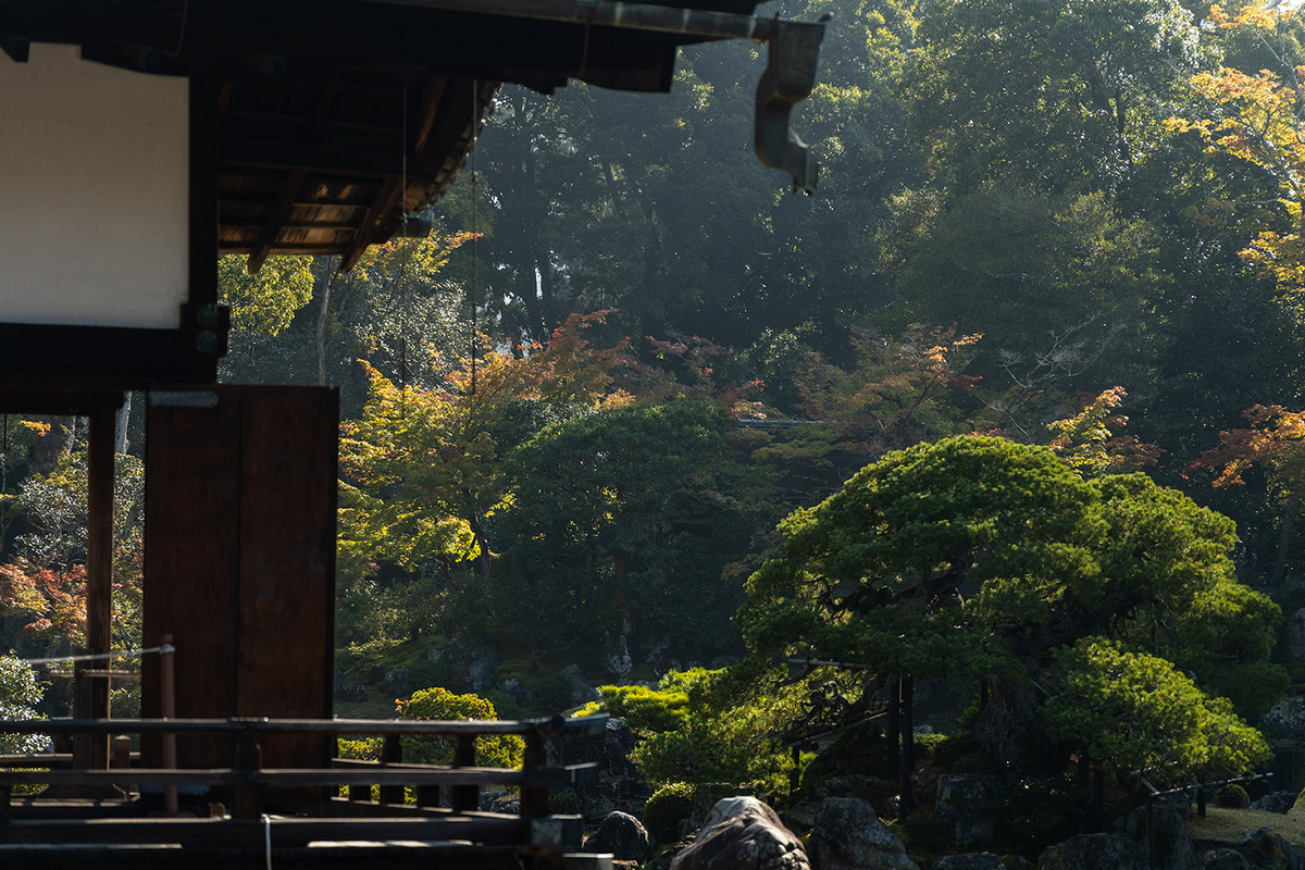 京都の世界遺産「醍醐寺」