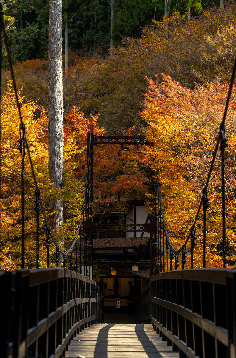 京都の絶景紅葉スポット高雄　神護寺