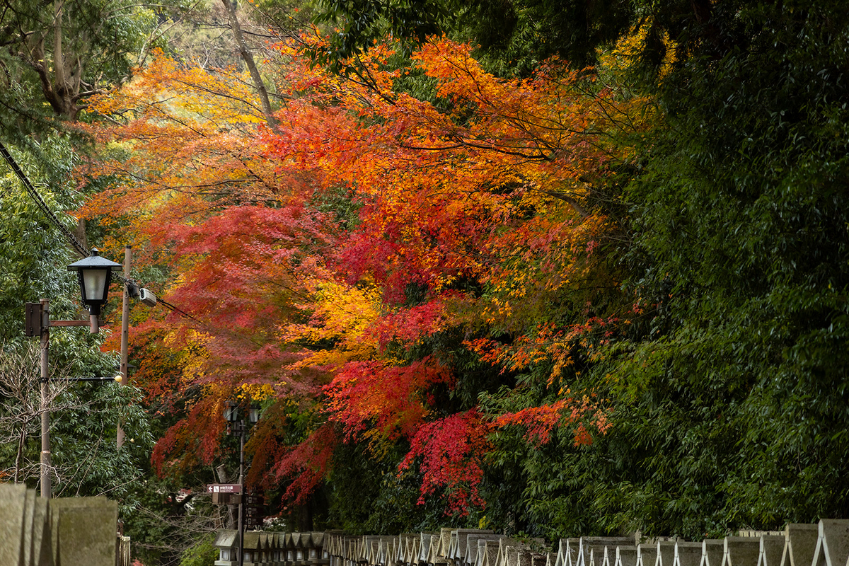 朝護孫子寺