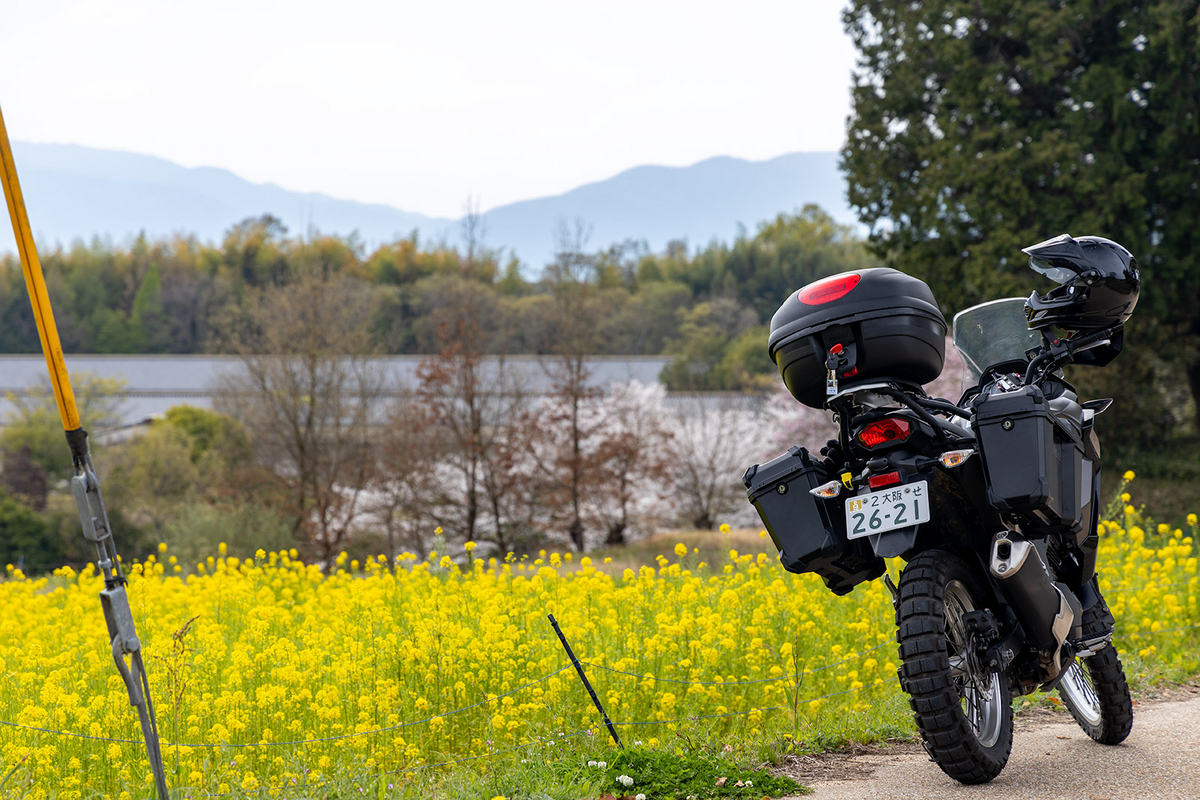 奈良の絶景お花見バイクツーリング