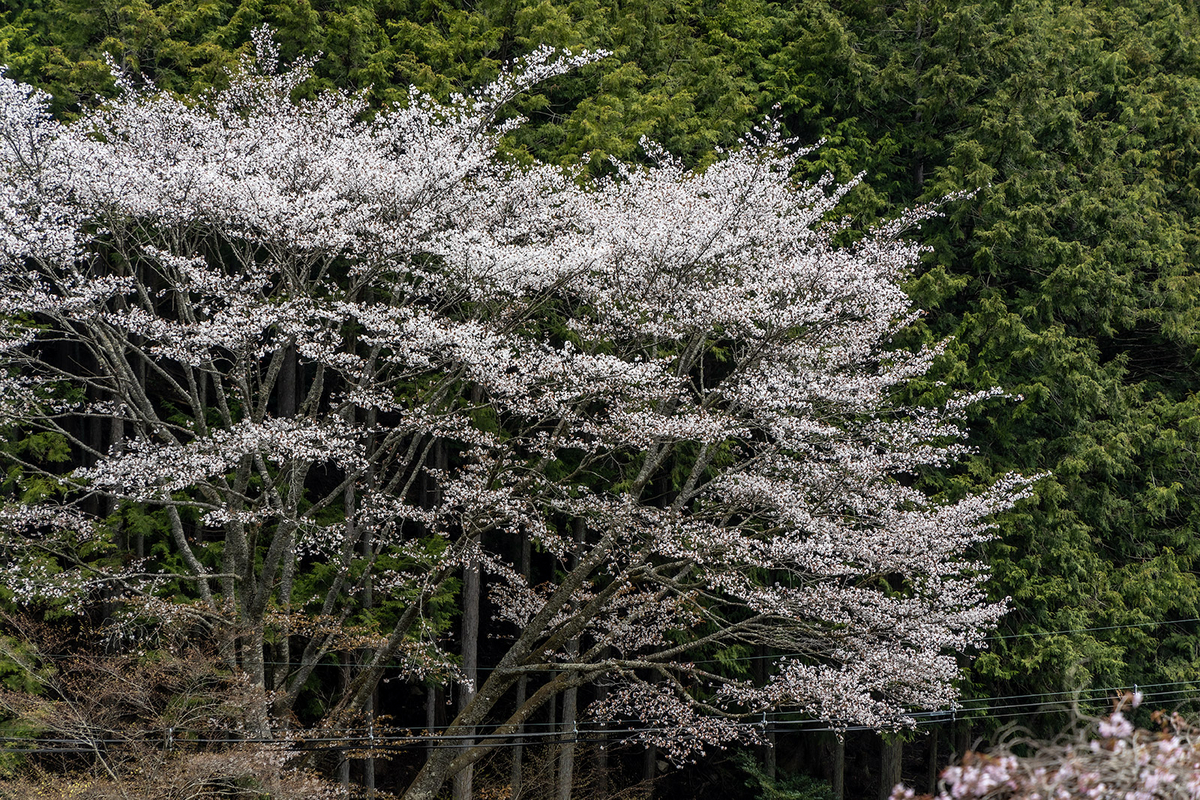 三重県のバイクツーリングスポット