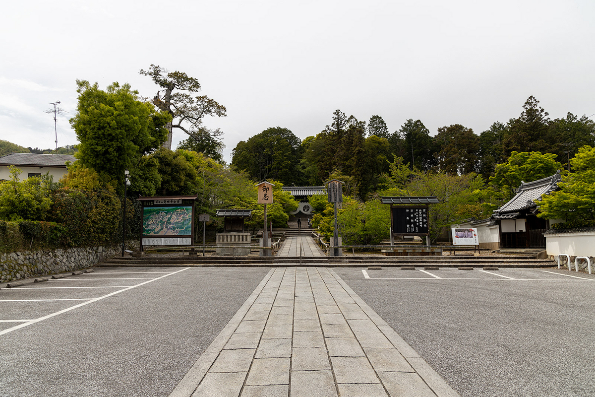 京都の絶景スポット青紅葉が美しい光明寺