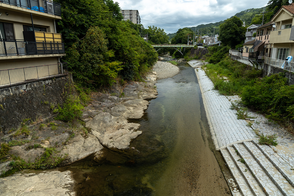 かつては歓楽街だった大阪河内長野市の長野新地を訪ねる。今でも残る旅館「八重別館」