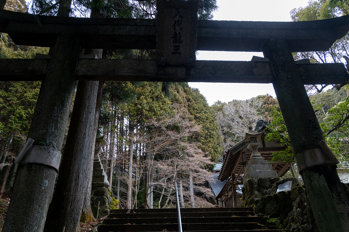 なるかわ園地