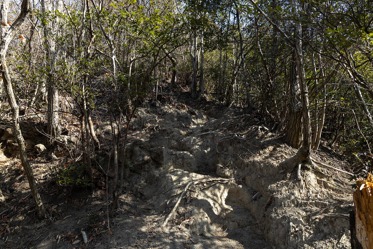 低山登山二上山