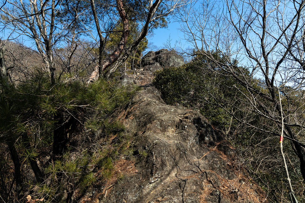 低山登山二上山