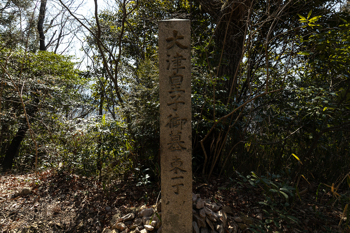 低山登山二上山