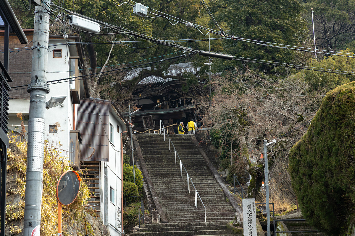 高尾山　柏原水仙郷