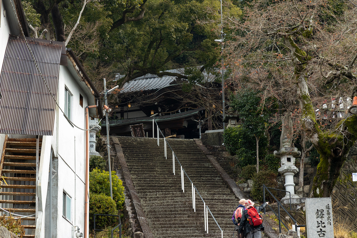 高尾山　柏原水仙郷