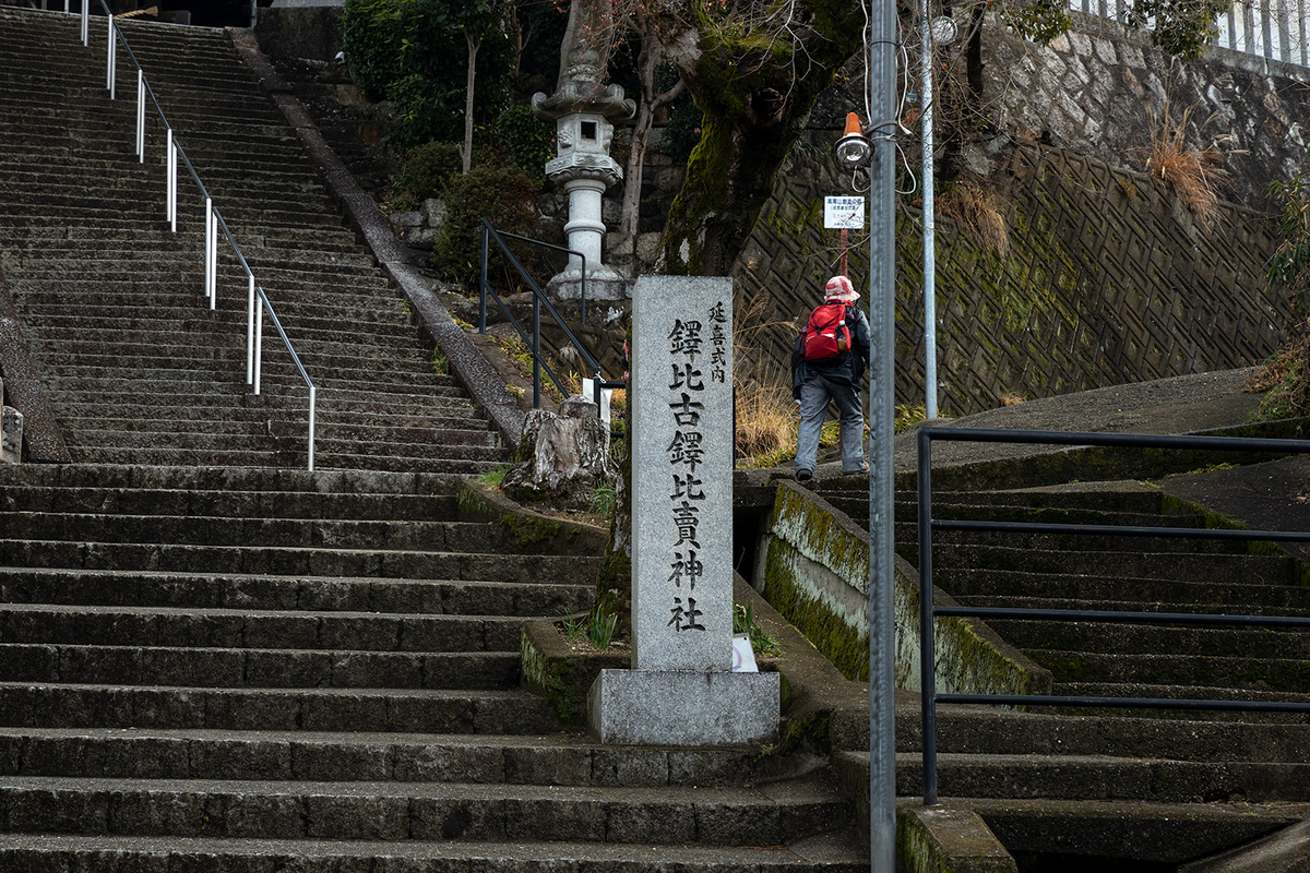 高尾山　柏原水仙郷