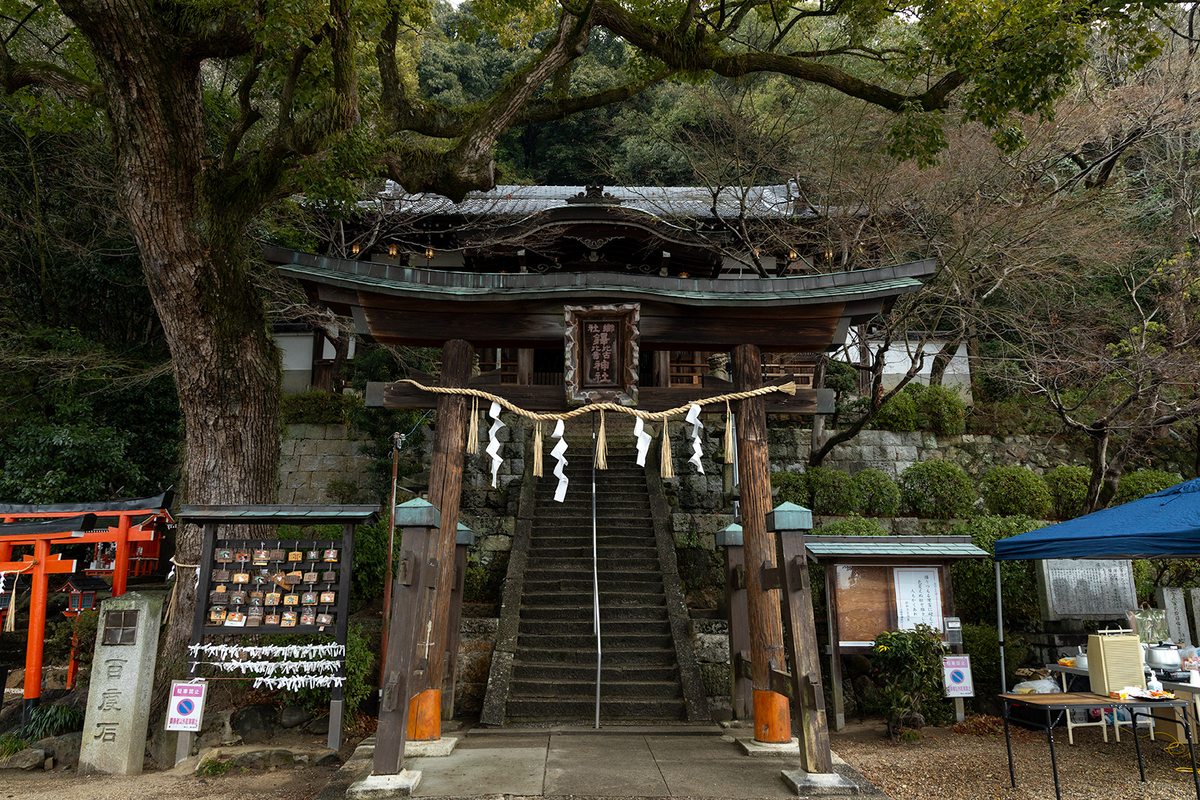 高尾山　柏原水仙郷