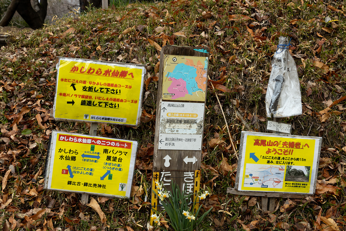 高尾山　柏原水仙郷