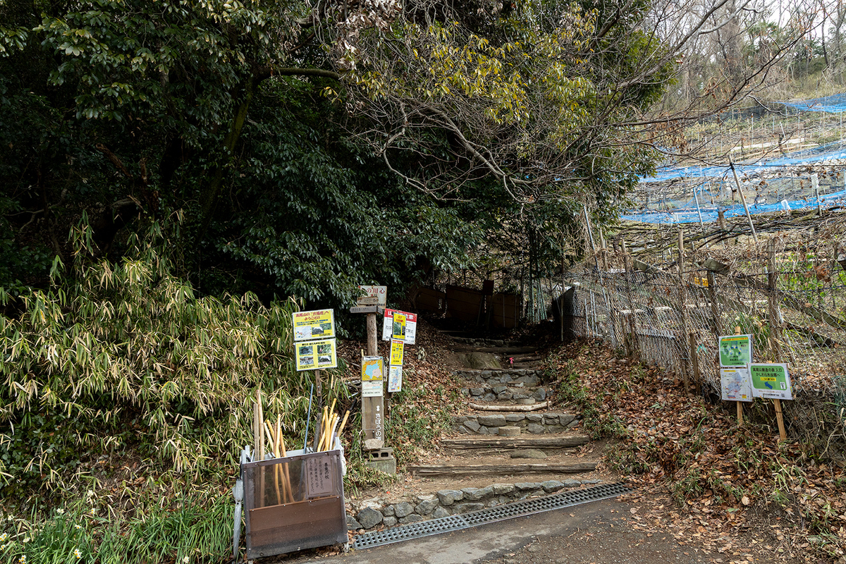 高尾山　柏原水仙郷