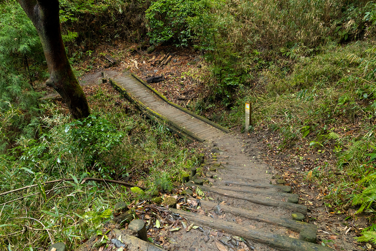 高尾山　柏原水仙郷