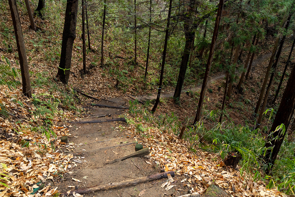 高尾山　柏原水仙郷