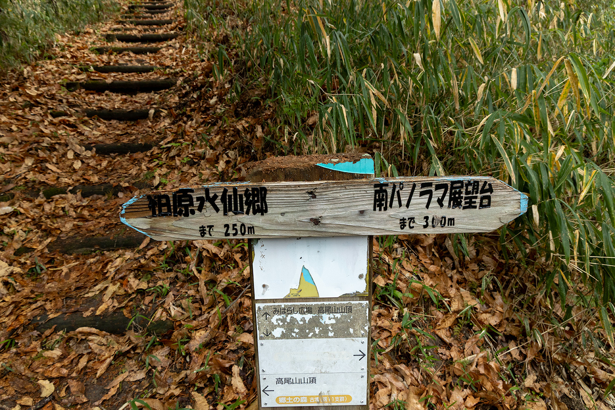 高尾山　柏原水仙郷