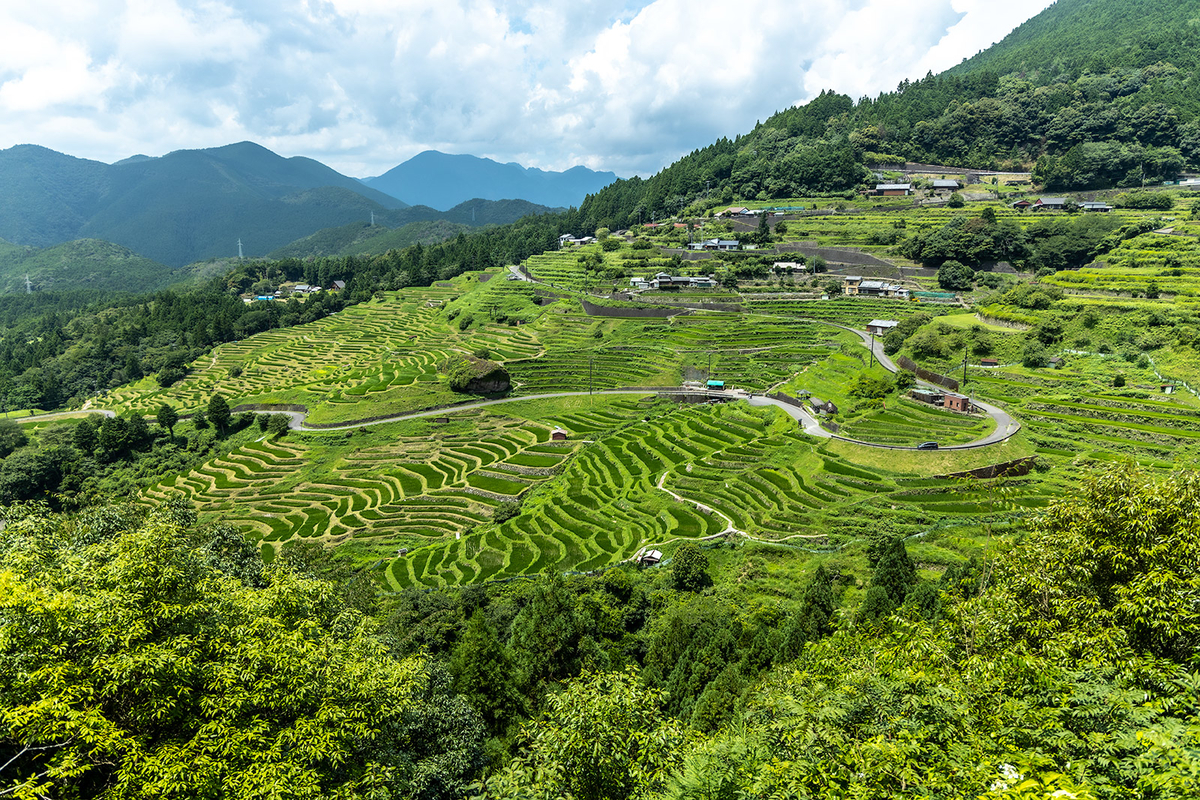 丸山千枚田