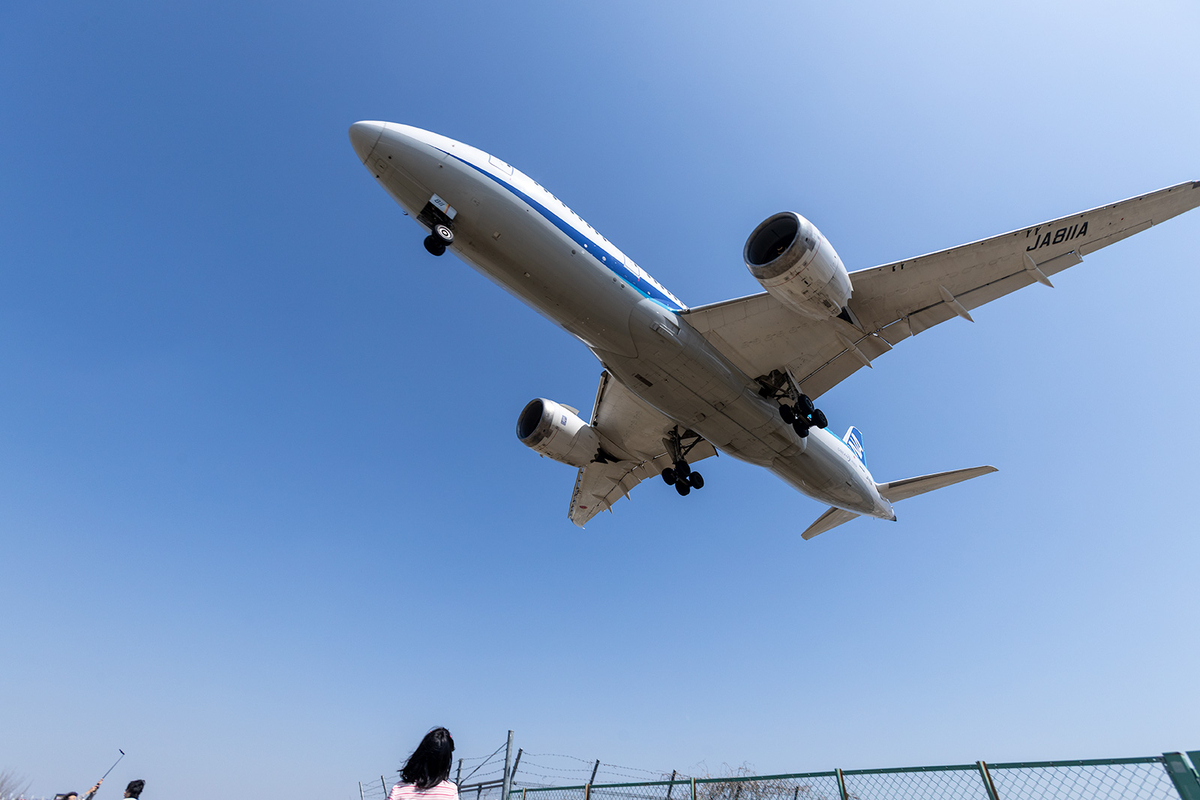 伊丹空港千里川土手