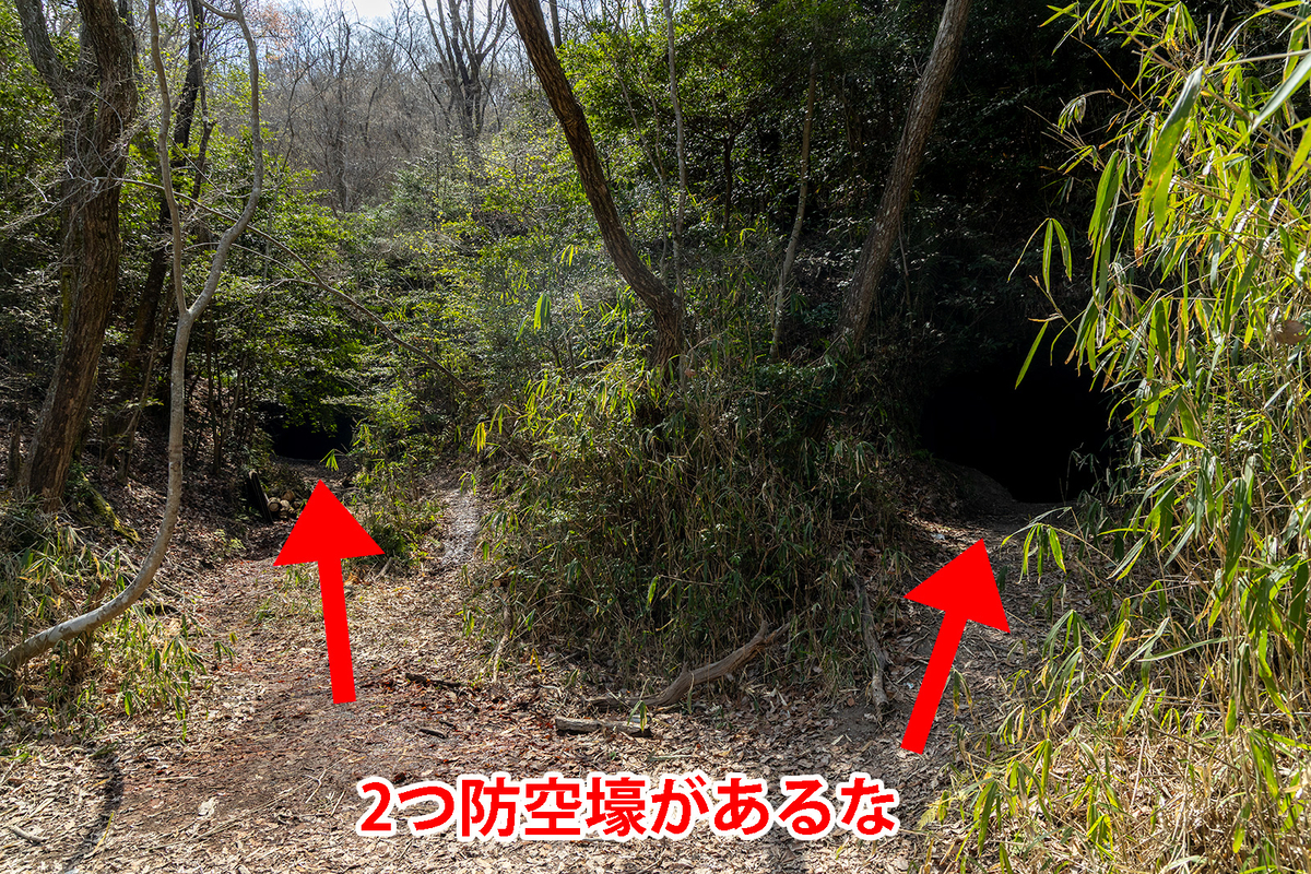 奈良県の珍スポット屯鶴峯（どんづるぼう）