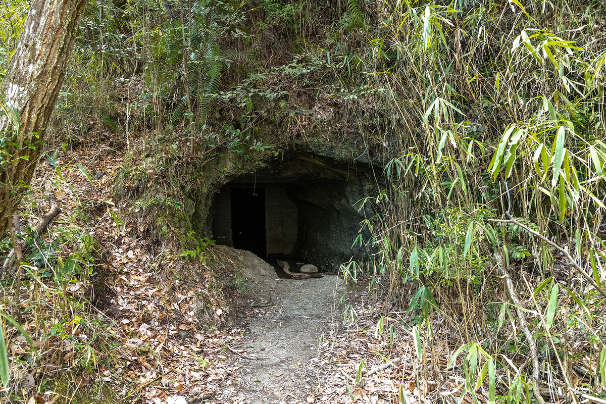 奈良県の珍スポット屯鶴峯（どんづるぼう）