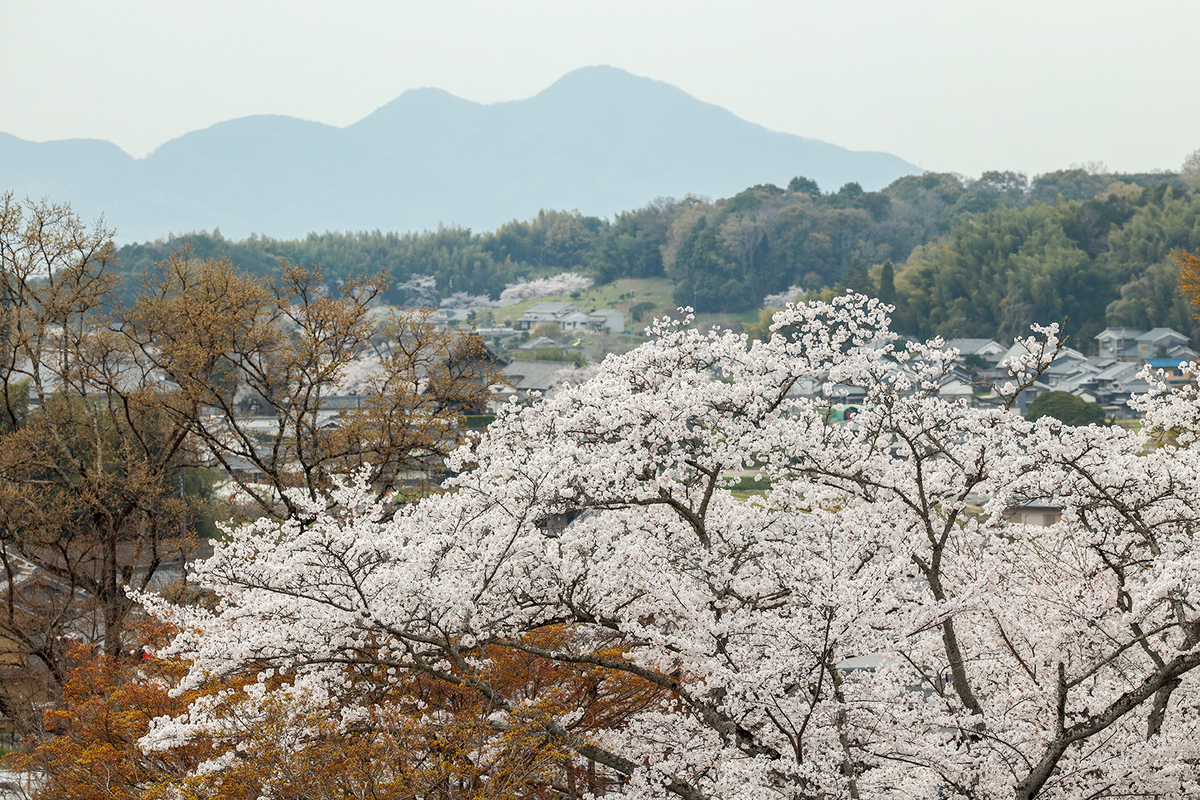 明日香村石舞台古墳